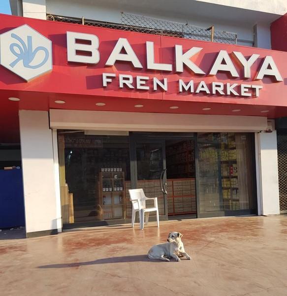 Balkaya Fren Market mağaza girişi